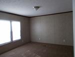 497 GOLIGHTLY SPRING