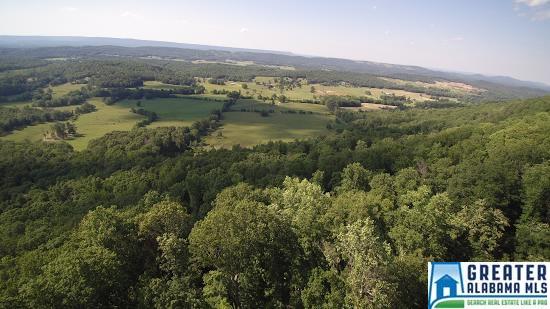 1955Beaver Mountain Rd, Ashville, AL 35953
