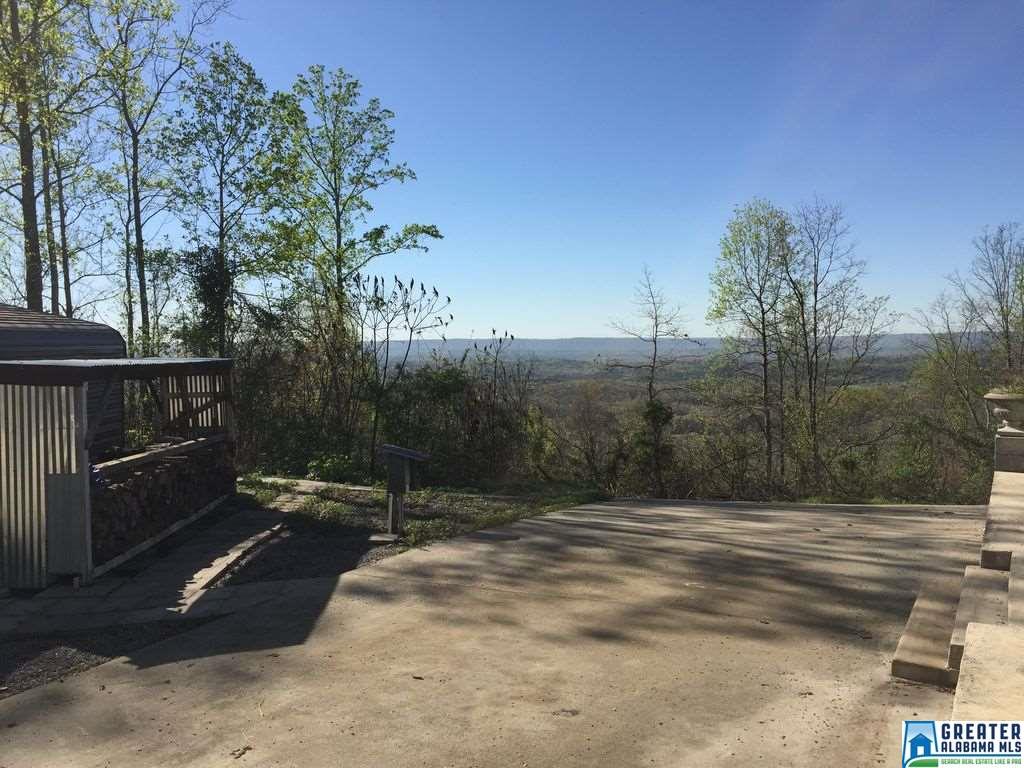 1955Beaver Mountain Rd, Ashville, AL 35953
