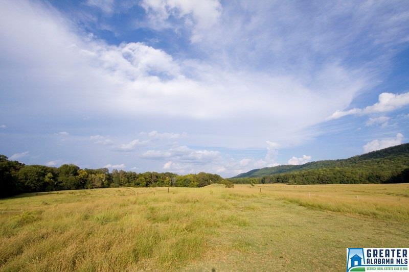 3406 CO RD 33, Ashville, AL 35953