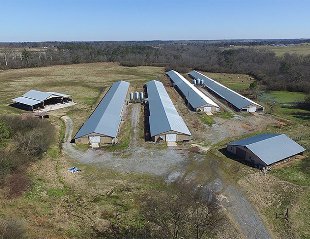 1192 County Road 82, Crossville, AL 35962