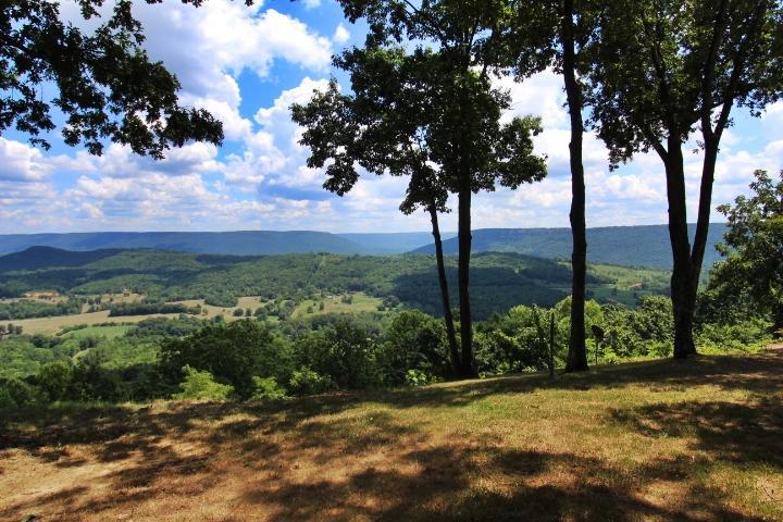295 County Road 141, Flat Rock, AL 35966