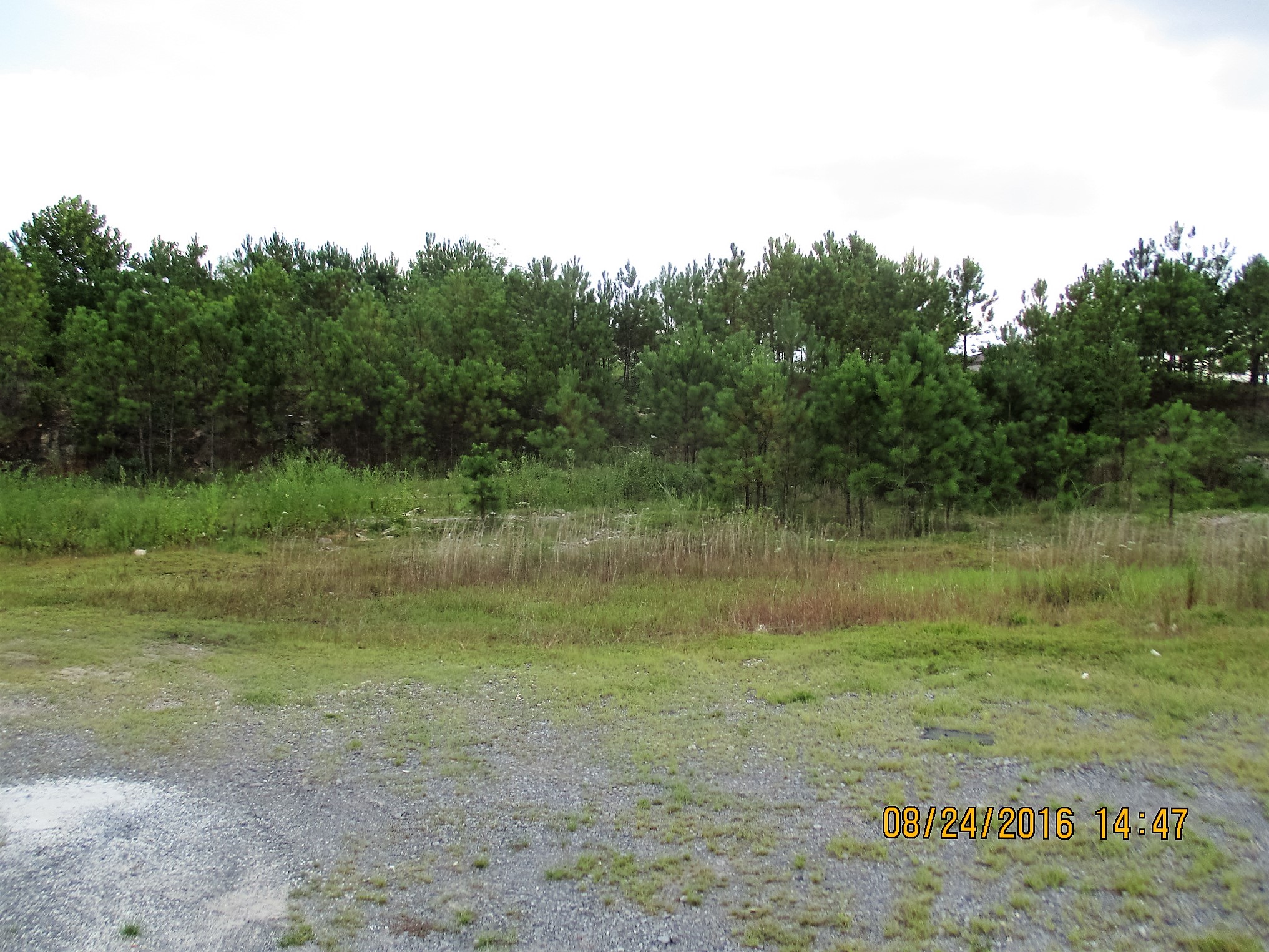US HWY 431, Guntersville, AL 35976