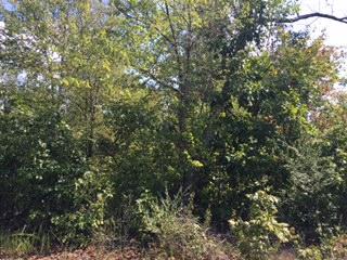 0 County Rd 784, Ider, AL 35981