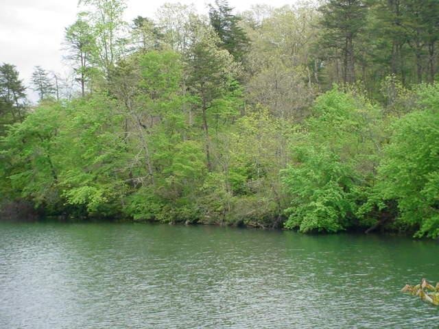 0 Co Rd 103, Mentone, AL 35984