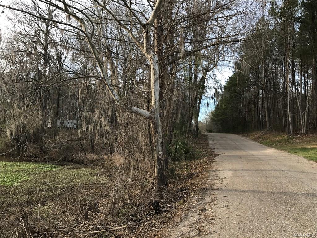 0 Strickland Landing Road, Autaugaville, AL 36003