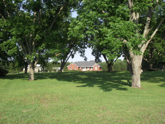 1365 County Road 104, Brundidge, AL 36010