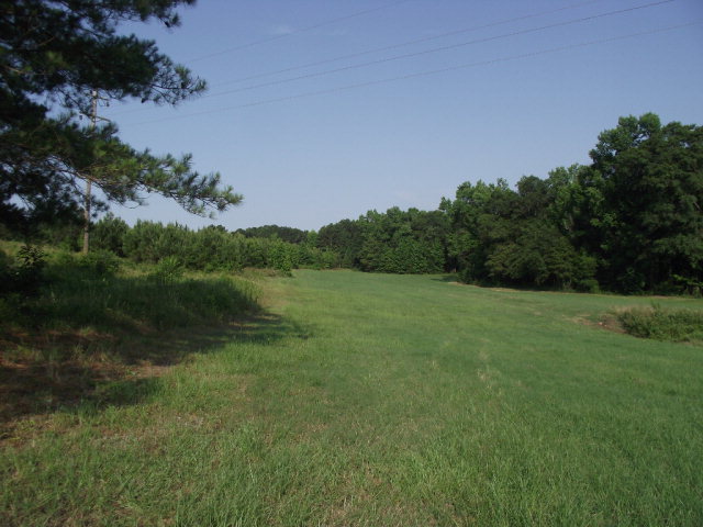 1365 County Road 104, Brundidge, AL 36010