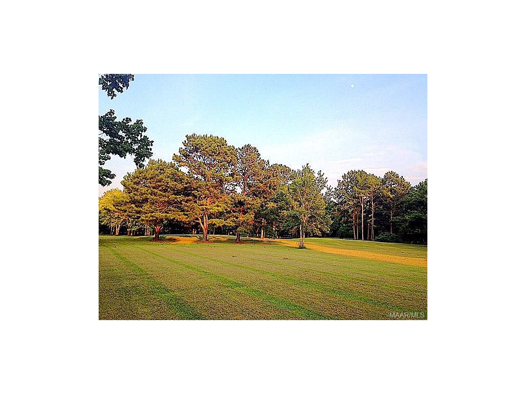 244 E FLOWERS Road, Cecil, AL 36013
