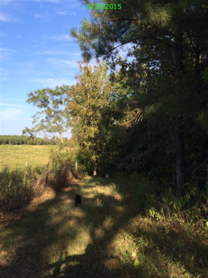 Capps, AL 36016