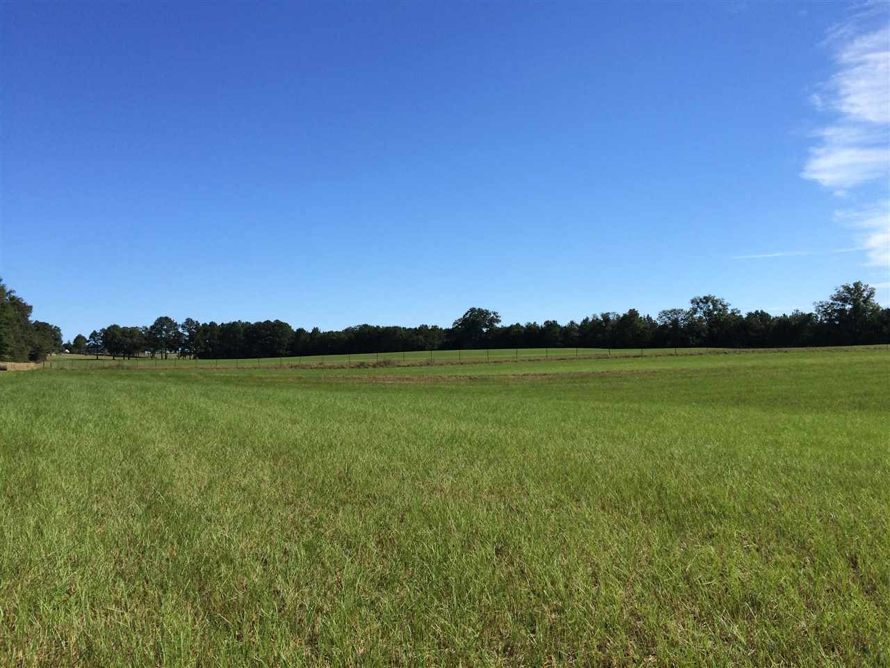 Capps, AL 36016