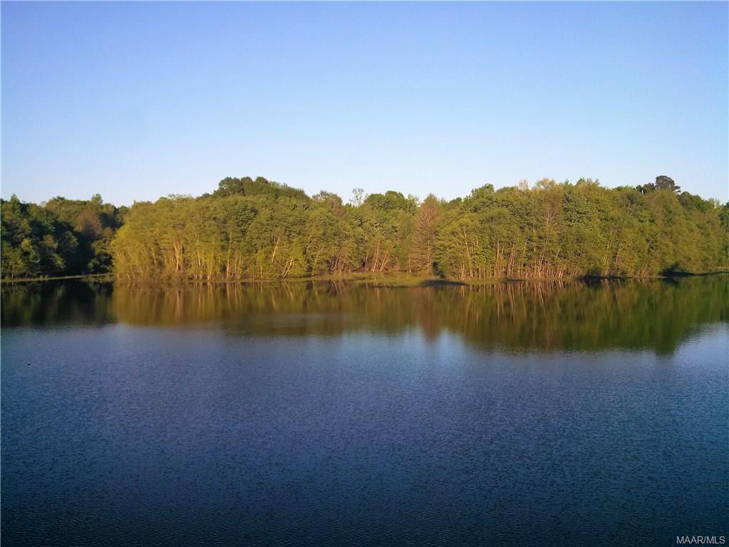 1607 Pettus Road, Hope Hull, AL 36043