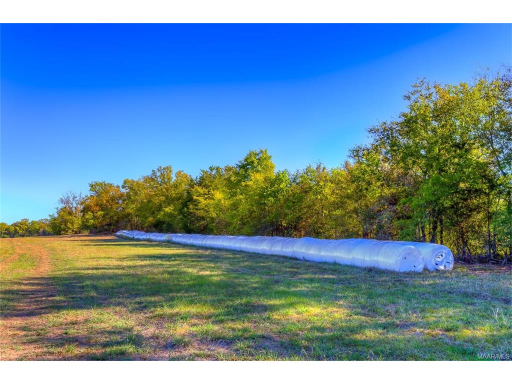 6390 W Old Hayneville Road, Pintlala, AL 36043