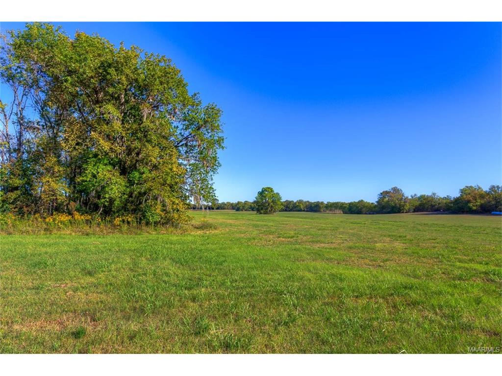 6390 W Old Hayneville Road, Pintlala, AL 36043