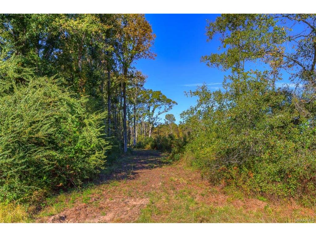 6390 W Old Hayneville Road, Pintlala, AL 36043