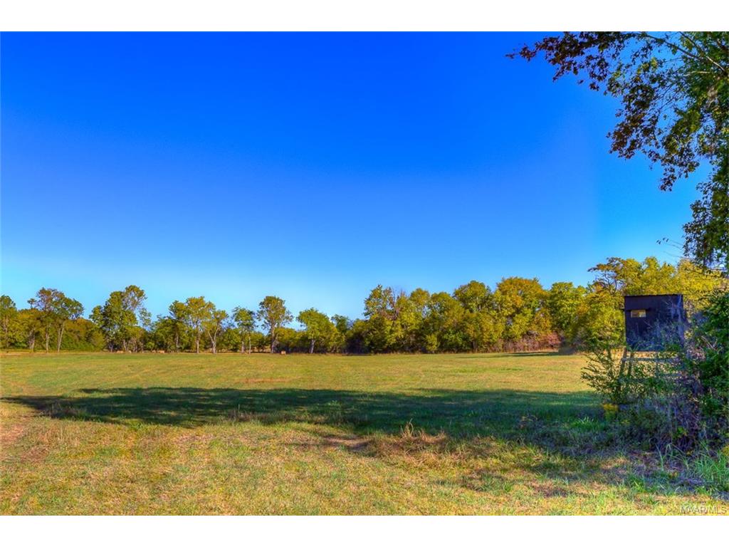 6390 W Old Hayneville Road, Pintlala, AL 36043