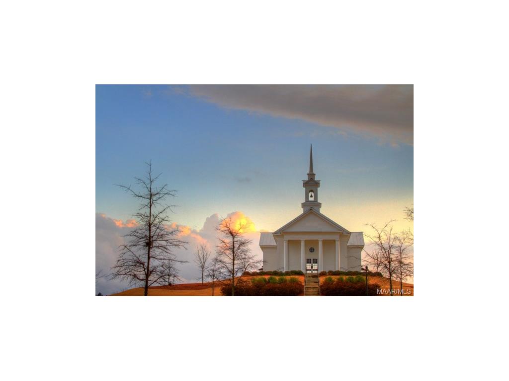 3 Chapel Hill Street, Pike Road, AL 36064