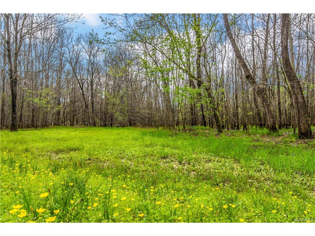 3851 Old Carter Hill Road, Pike Road, AL 36064