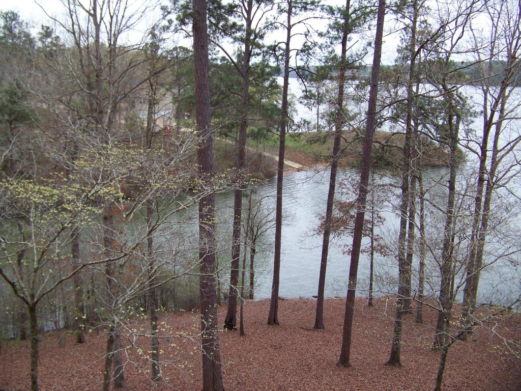 335 HIGH POINT Dr, Tallassee, AL 36078