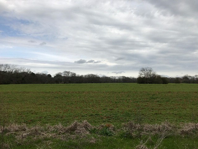 CR 3336 County Road 3336, Troy, AL 36079