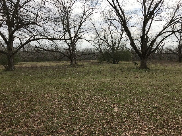 CR 3336 County Road 3336, Troy, AL 36079