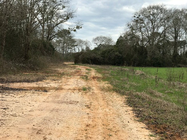 CR 3336 County Road 3336, Troy, AL 36079