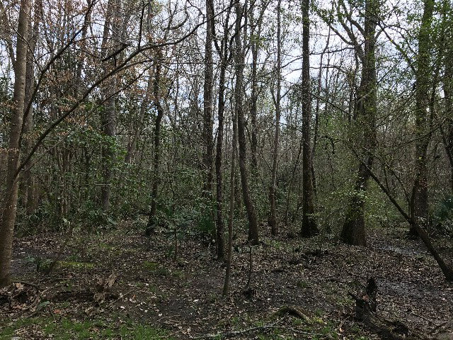 CR 3336 County Road 3336, Troy, AL 36079