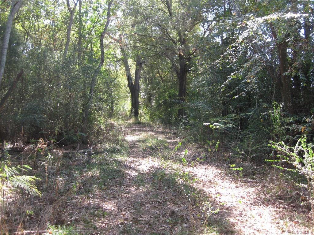 . Anthony Street, Montgomery, AL 36108