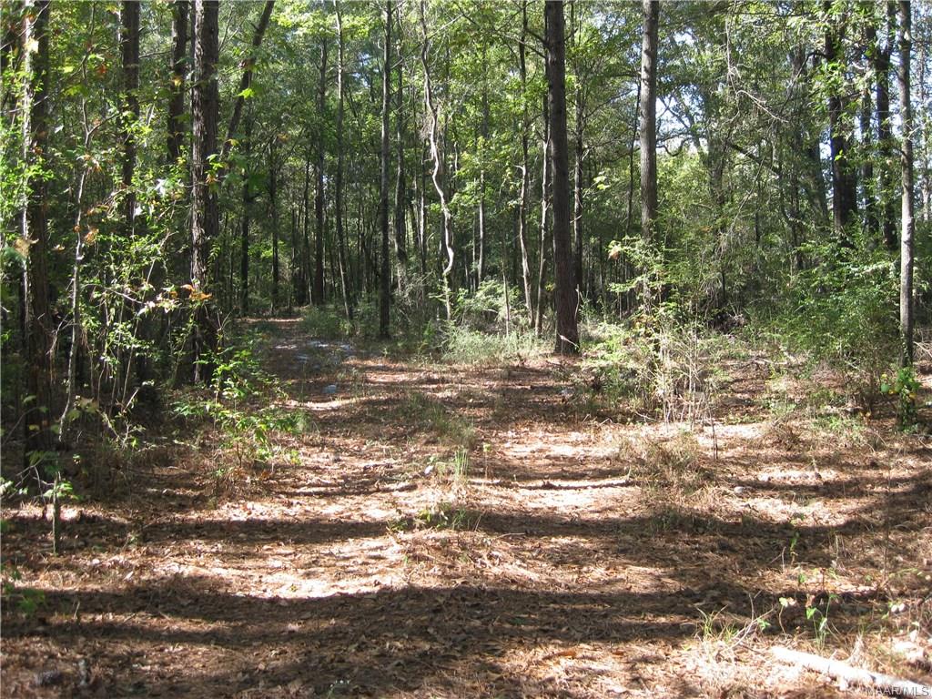 . Anthony Street, Montgomery, AL 36108