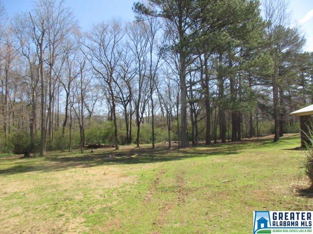 173 E GLEN DR, Alexandria, AL 36250