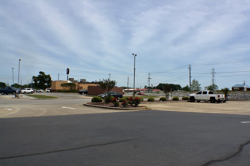 111 l Valley Dr., Alaexandia, AL 36250