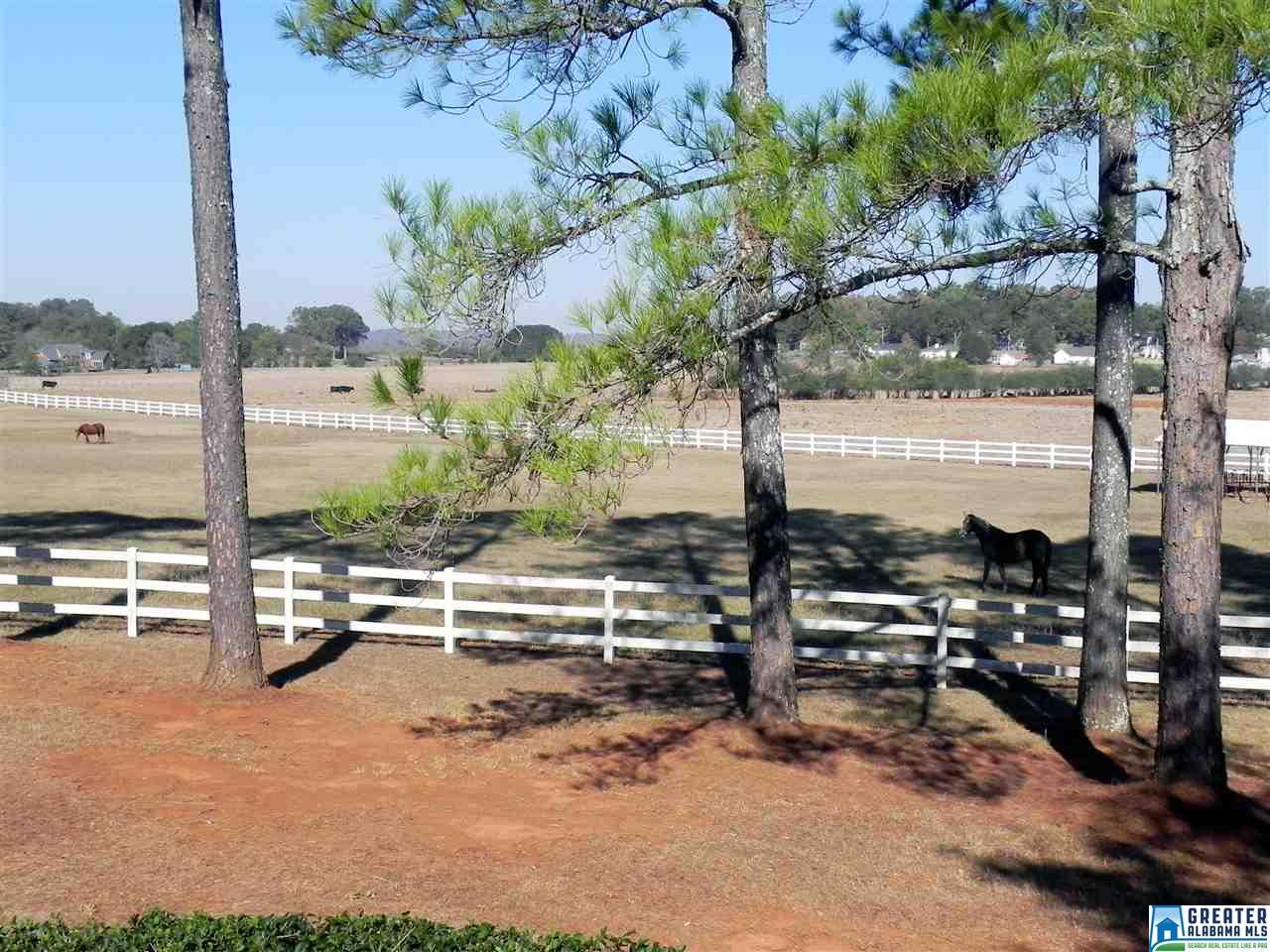 145 LISA DR, Alexandria, AL 36250