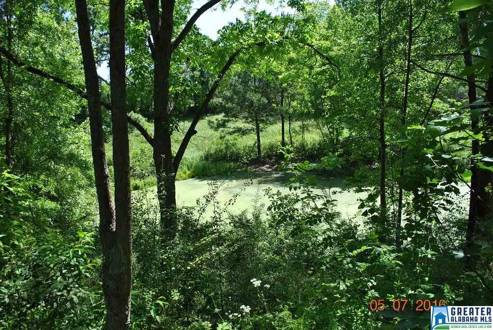 307 CO RD 31, Ashland, AL 36251