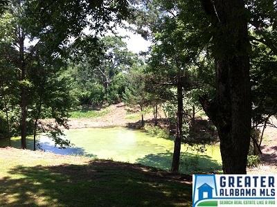 307 CO RD 31, Ashland, AL 36251