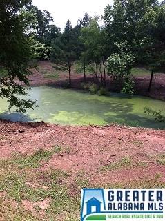 307 CO RD 31, Ashland, AL 36251