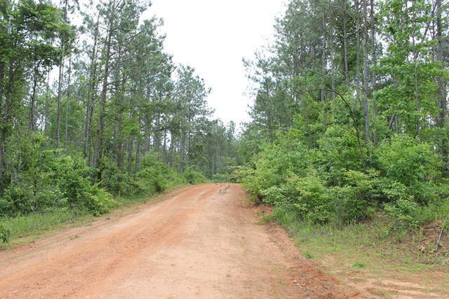 Bill Price Road, Newsite, AL 36256