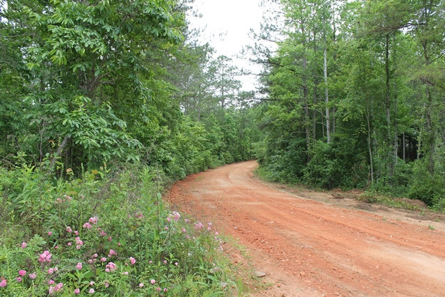 Bill Price Road, Newsite, AL 36256