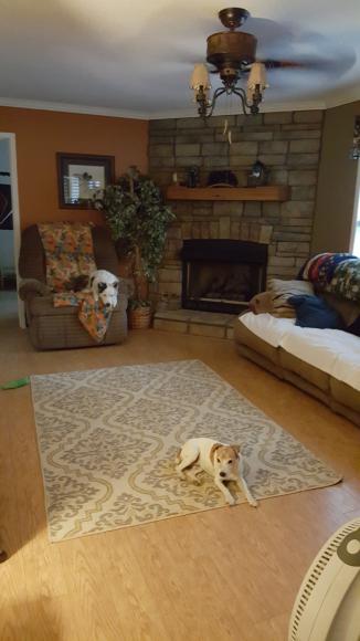 611 MAHAFFEY RD ,AL, Eastaboga, 36260