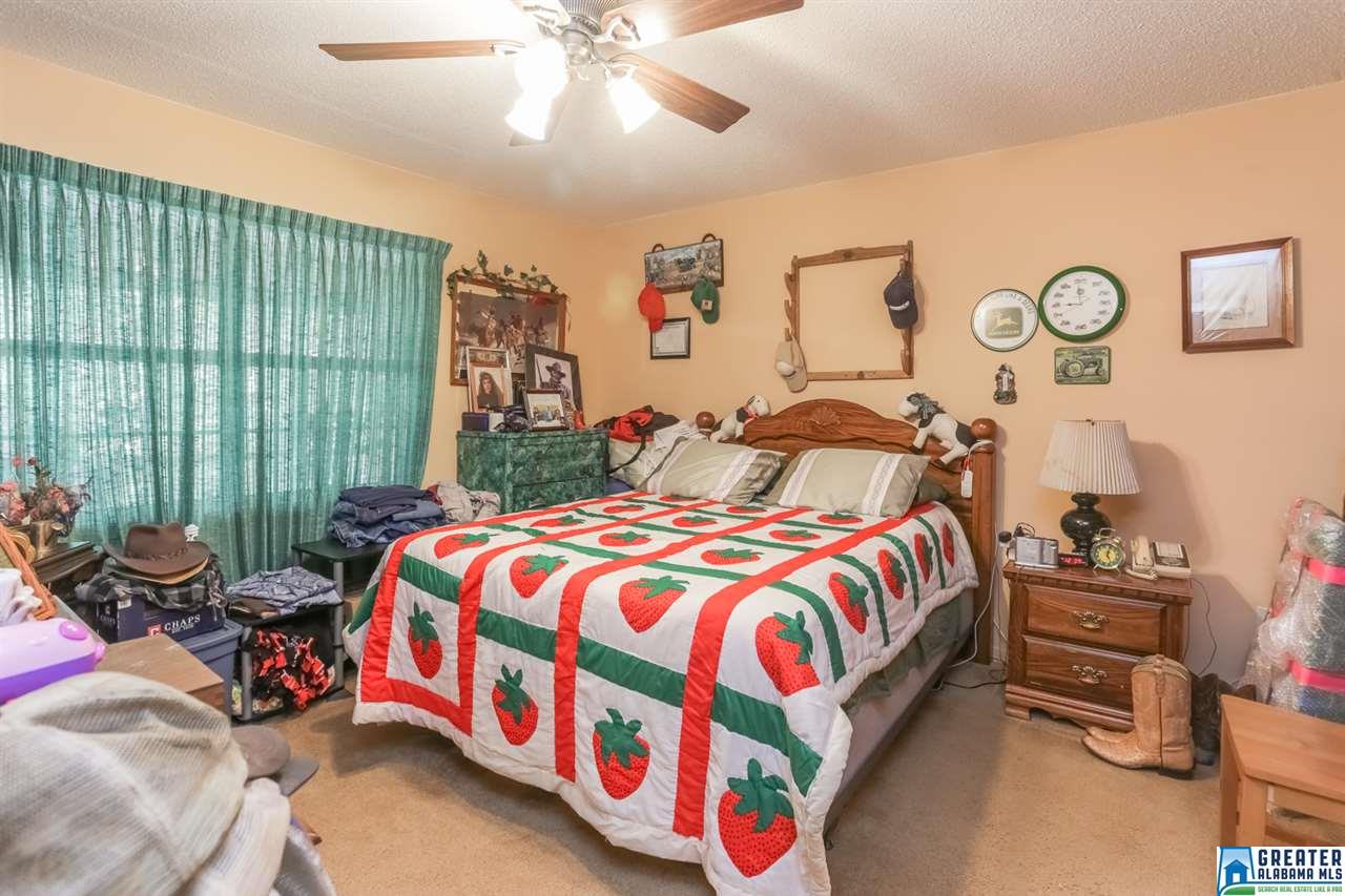8116Hwy 77, Ohatchee, AL 36271