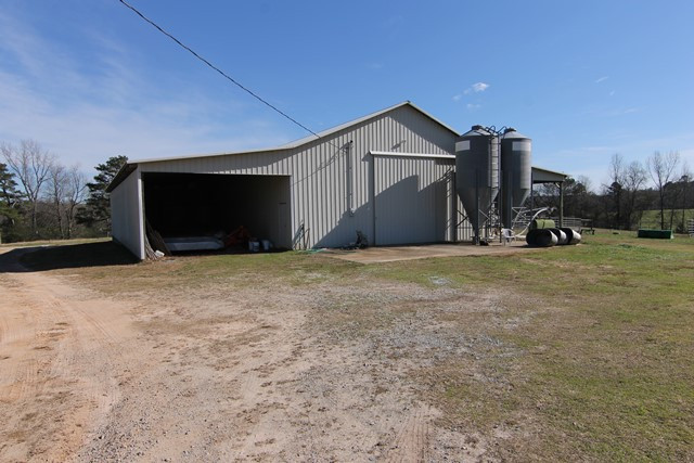 10811 Co Rd 16, Roanoke, AL 36274