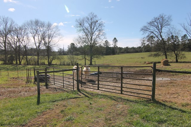 10811 Co Rd 16, Roanoke, AL 36274