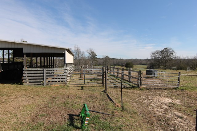 10811 Co Rd 16, Roanoke, AL 36274