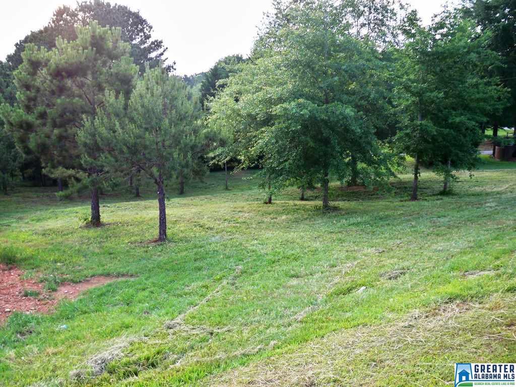 CO RD 240, Wedowee, AL 36274