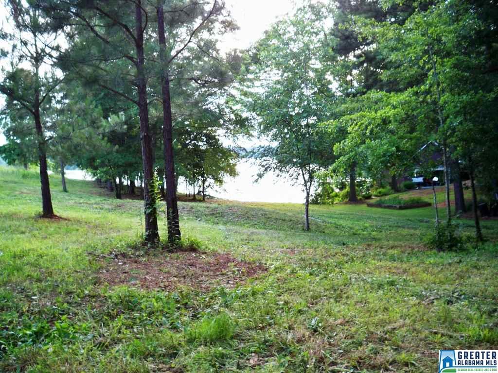 CO RD 240, Wedowee, AL 36274