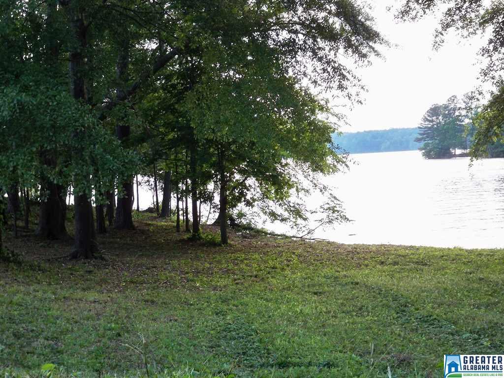 CO RD 240, Wedowee, AL 36274