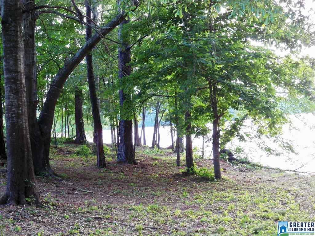 CO RD 240, Wedowee, AL 36274