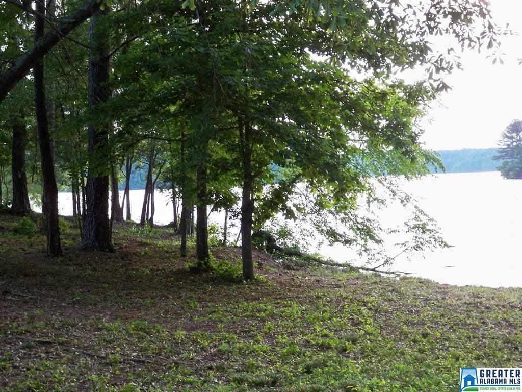 CO RD 240, Wedowee, AL 36274