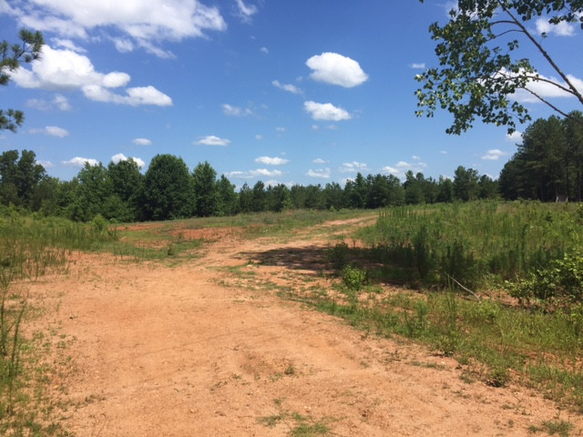 County Road 691, Roanoke, AL 36274