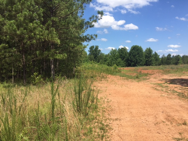 County Road 691, Roanoke, AL 36274