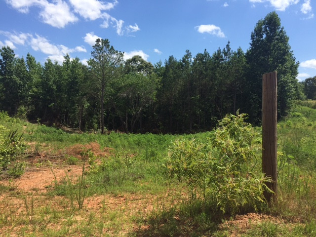 County Road 691, Roanoke, AL 36274